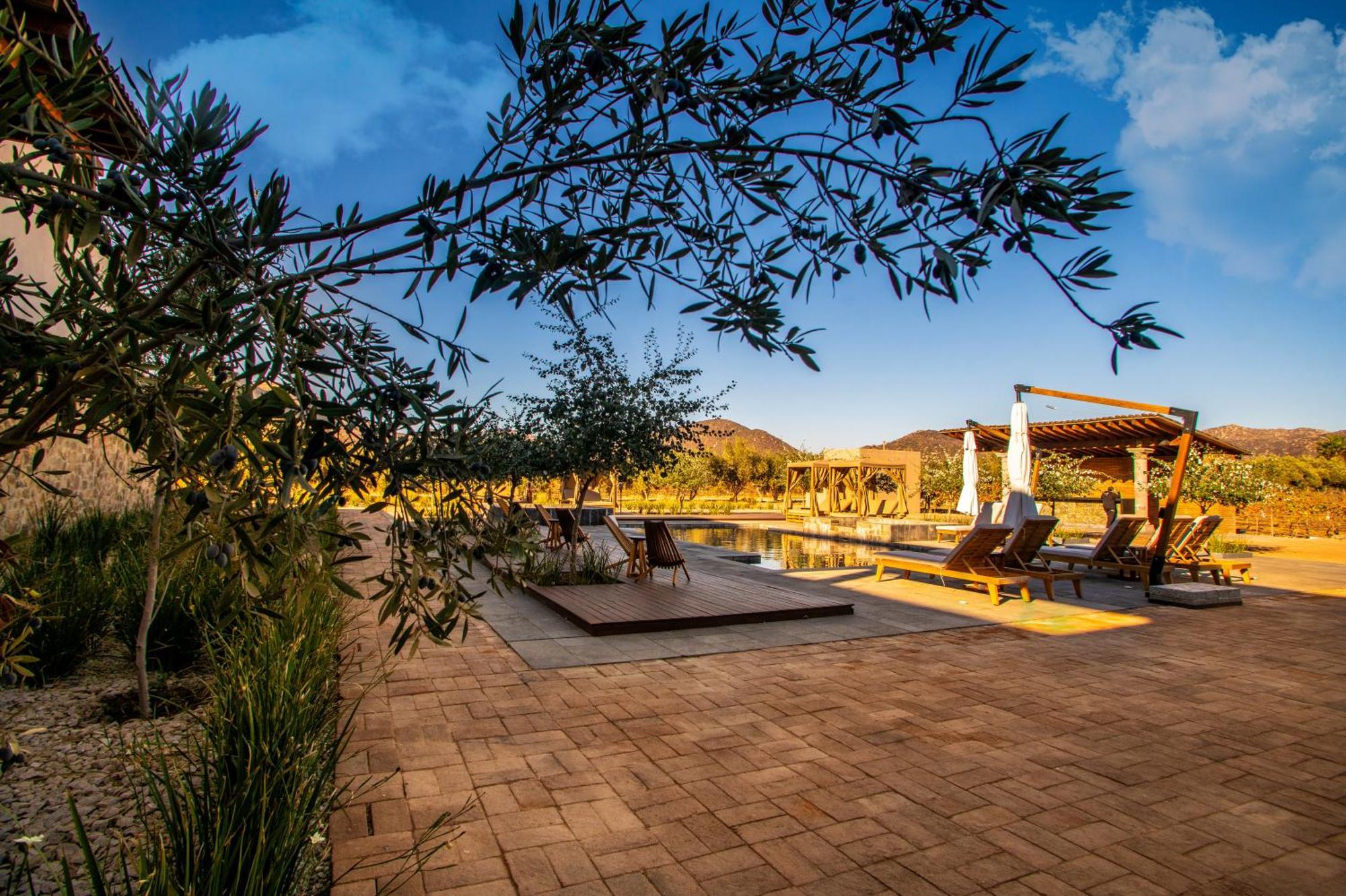 Hotel Flores De Sal-Valle De Guadalupe Luaran gambar