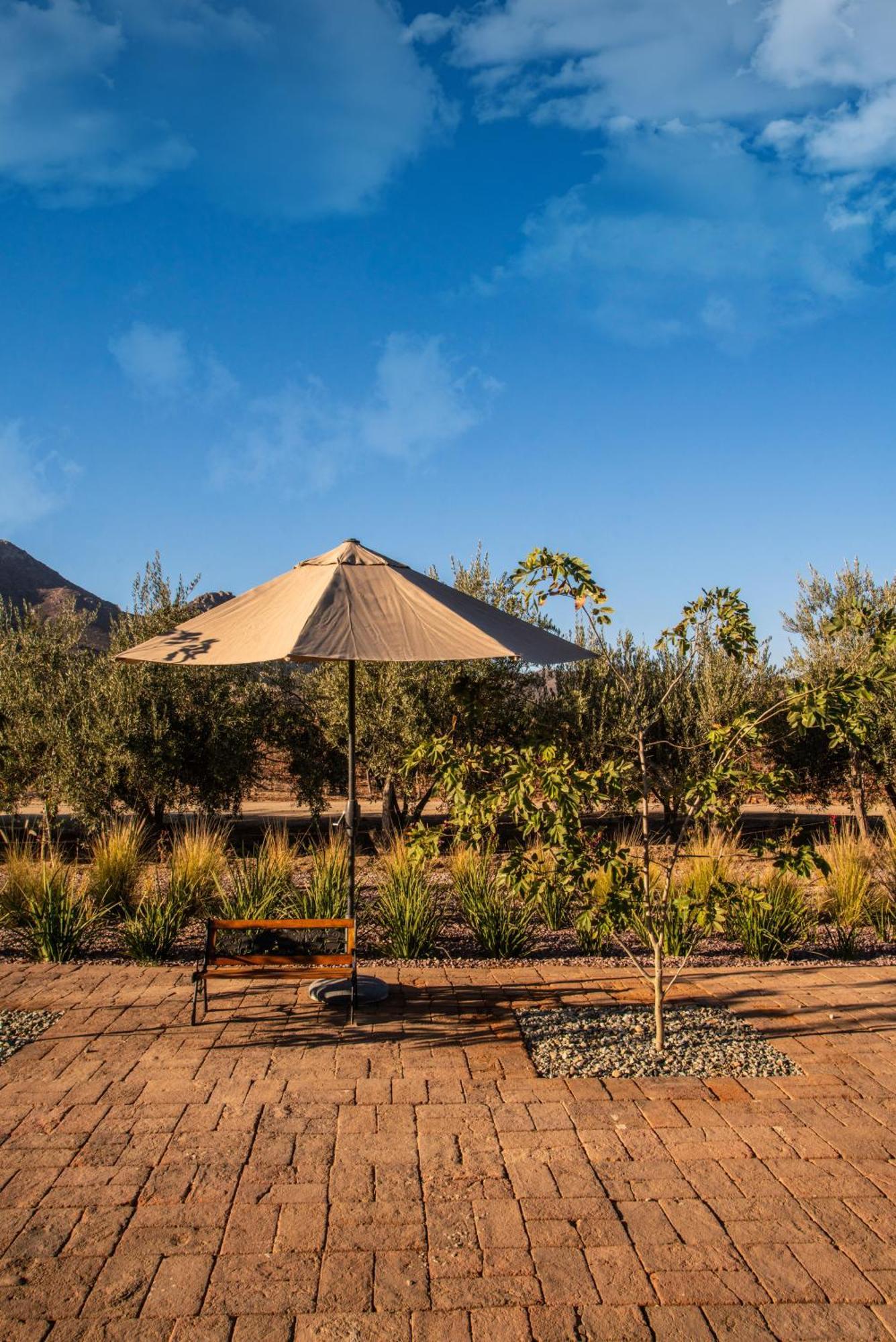 Hotel Flores De Sal-Valle De Guadalupe Luaran gambar