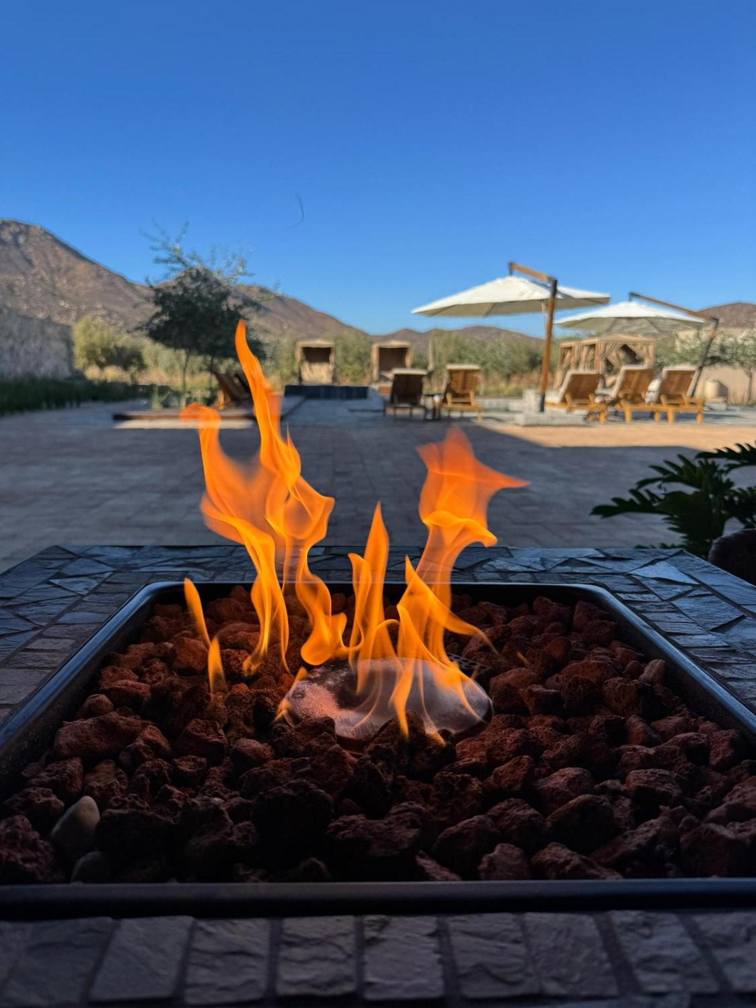 Hotel Flores De Sal-Valle De Guadalupe Luaran gambar